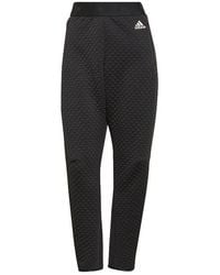 adidas - (Wmns) Z.N.E. Sportswear Pants - Lyst