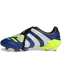 adidas - Predator Accelerator Fg 'Royal Solar' - Lyst