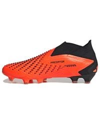 adidas - Predator Accuracy+ Fg 'Heatspawn Pack' - Lyst
