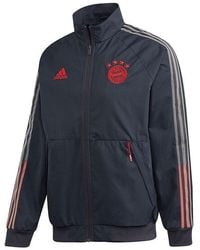 adidas - Fcb Anthem Jkt Bayern Munich Soccer/Football Training Sports Jacket - Lyst