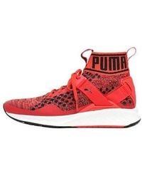 PUMA - Ignite Evoknit - Lyst