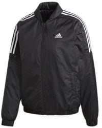 adidas - (Wmns) Essentials Insulated Bomber Jacket Asia Sizing - Lyst