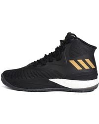 adidas - D Rose 8 - Lyst