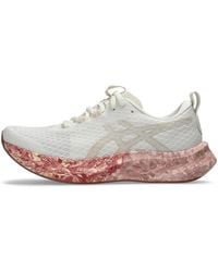 Asics - Noosa Tri 16 Running Shoes - Lyst