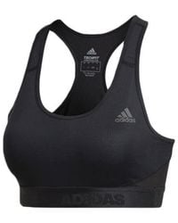 adidas - (Wmns) Alphaskin Sport Padded Bra Asia Sizing - Lyst