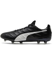 puma centaur king