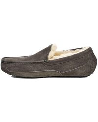 UGG - Ascot Slipper Cozy Fleece Lined Athleisure Casual Sports Shoe - Lyst