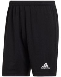 adidas - Solid Color Logo Printing Straight Casual Shorts - Lyst