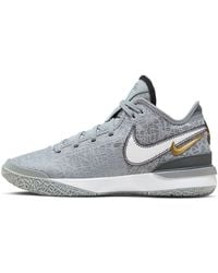 Nike - Zoom Lebron Nxxt Gen Ep 'Wolf Metallic' - Lyst