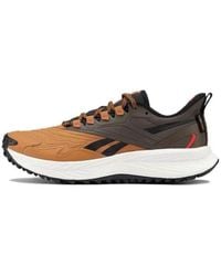 Reebok - Floatride Energy 5 Adventure 'Coubro Gro' - Lyst