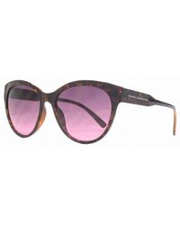 French Connection Easy Glamour Sunglasses - Multicolour