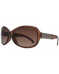French Connection Butterfly Sunglasses - Brown