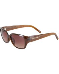 French Connection Small Sunglasses - Brown