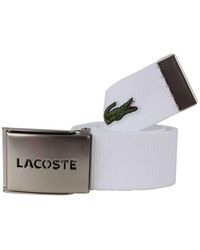 lacoste mens belt