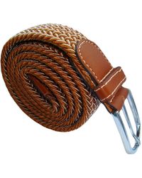 Bassin and Brown Chevron Lined Woven Buckle Belt - Brown