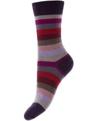 Pantherella Suzannah Multi Stripe Merino Wool Socks - Purple