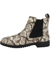 clarks griffin valley