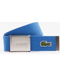 lacoste belt bolsa price