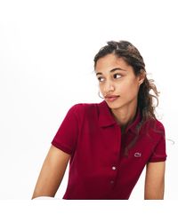 burberry polo womens bordeaux