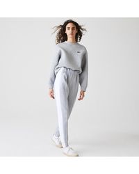 lacoste tracksuit womens