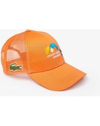 lacoste checkered cap