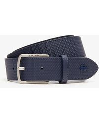 lacoste belts uk