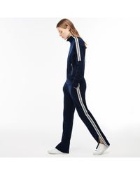 lacoste track pants womens