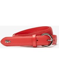 red lacoste belt