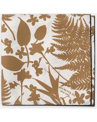 Lafayette 148 New York - Eco Fern Fields Print Silk Scarf - Lyst