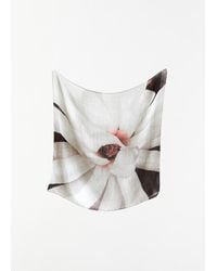 Casey Casey - Exclusive Silk Cashmere Scarf - Lyst