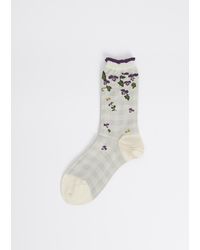 Antipast Violets On Gigham Socks - Grey