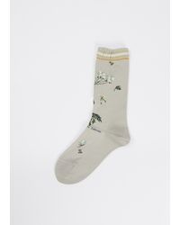 Antipast Botanical Xii Socks - White