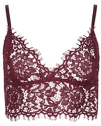 L'Agence - Aislin Lace Bralette - Lyst