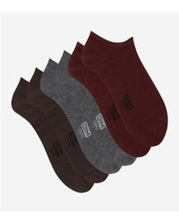 DIM - Lote de 3 pares de calcetines cortos - Lyst