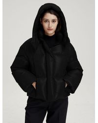 Lattelier High Collar Cropped Hooded Puffer Jacket - Black