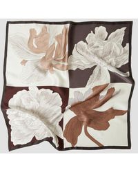 Lattelier Floral Square Silk Scarf - Brown