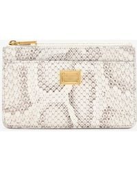 Dolce & Gabbana - Python Card Holder - Lyst