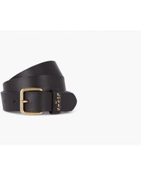 calypso belt levis