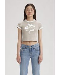 Levi's - Graphic Mini Ringer Tee - Lyst