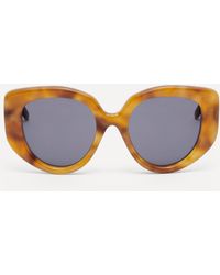 Loewe - Women's Butterfly Acetate Sunglasses One Size - Lyst