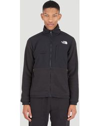 the north face fleece denali