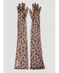 Gucci - Leopard Print Gloves - Lyst