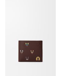 Loewe - Cats Bifold Coin Wallet - Lyst