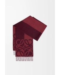 Loewe - Scarf - Lyst