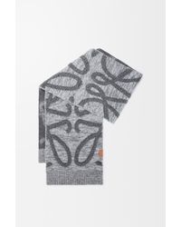 Loewe - Scarf - Lyst