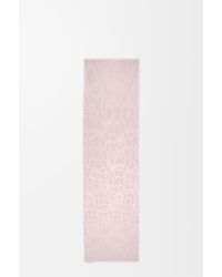 Loewe - Scarf - Lyst