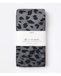 LOFT Tights and pantyhose for Women 