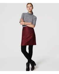 LOFT Tights and pantyhose for Women 