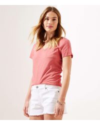 loft white denim shorts