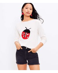 loft womens sweaters